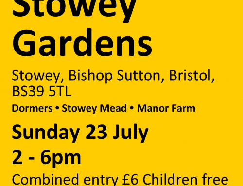NGS Gardens Open – Sunday, 23rd July 2023 – 2pm – 6pm