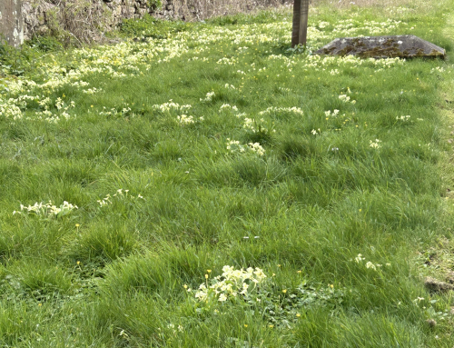 Chew Valley e-Newsletter 10.05.2026