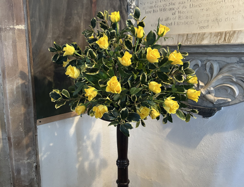 Chew Valley e-Newsletter 31.05.2026