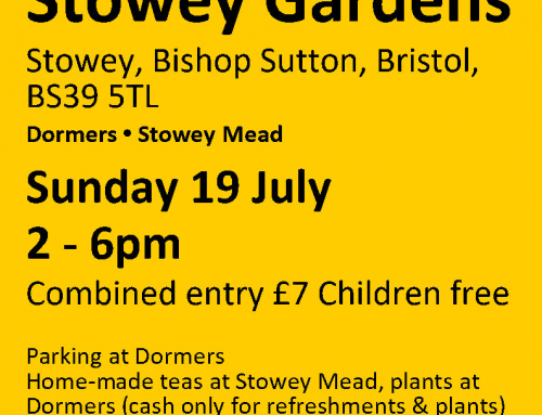 NGS – Sunday, 19th July 2026 – 2pm – 6pm